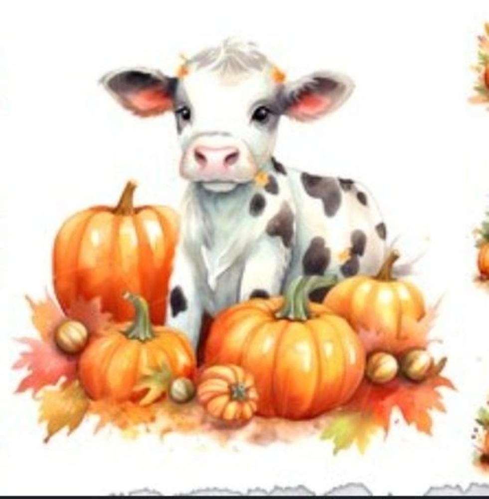 Meet your Posher, Morgan